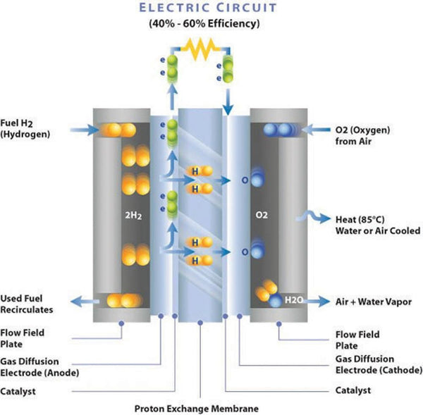WHAT IS THE WORKING PRINCIPLE OF PEM FUEL CELL?
