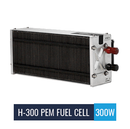 H-300 Horizon Fuel Cell